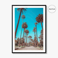 Beverly Hills Fine Art Photo Print, Los Angeles, California, Palm Trees, Photo Poster