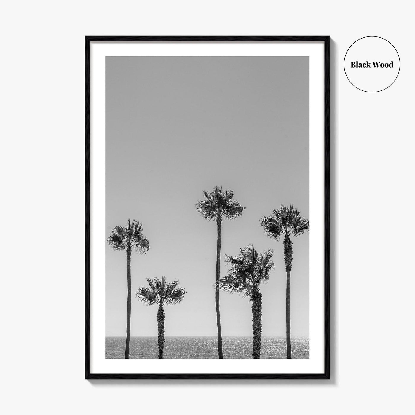 Manhattan Beach Black and White Fine Art Photo Print, Palm Trees LA California Poster