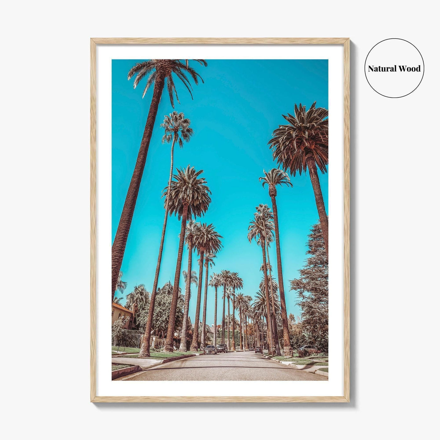 Beverly Hills Fine Art Photo Print, Los Angeles, California, Palm Trees, Photo Poster