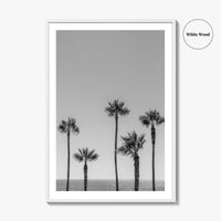 Manhattan Beach Black and White Fine Art Photo Print, Palm Trees LA California Poster