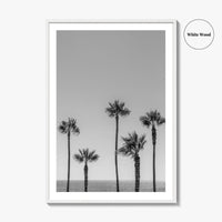 Manhattan Beach Black and White Fine Art Photo Print, Palm Trees LA California Poster