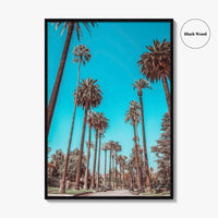 Beverly Hills Fine Art Photo Print, Los Angeles, California, Palm Trees, Photo Poster