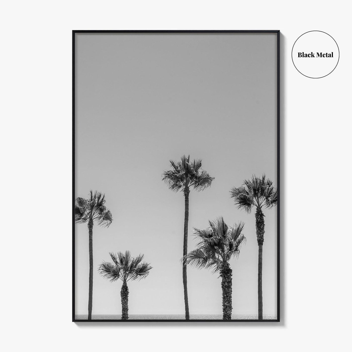 Manhattan Beach Black and White Fine Art Photo Print, Palm Trees LA California Poster