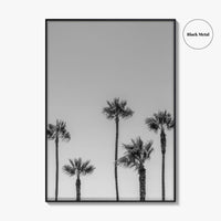 Manhattan Beach Black and White Fine Art Photo Print, Palm Trees LA California Poster