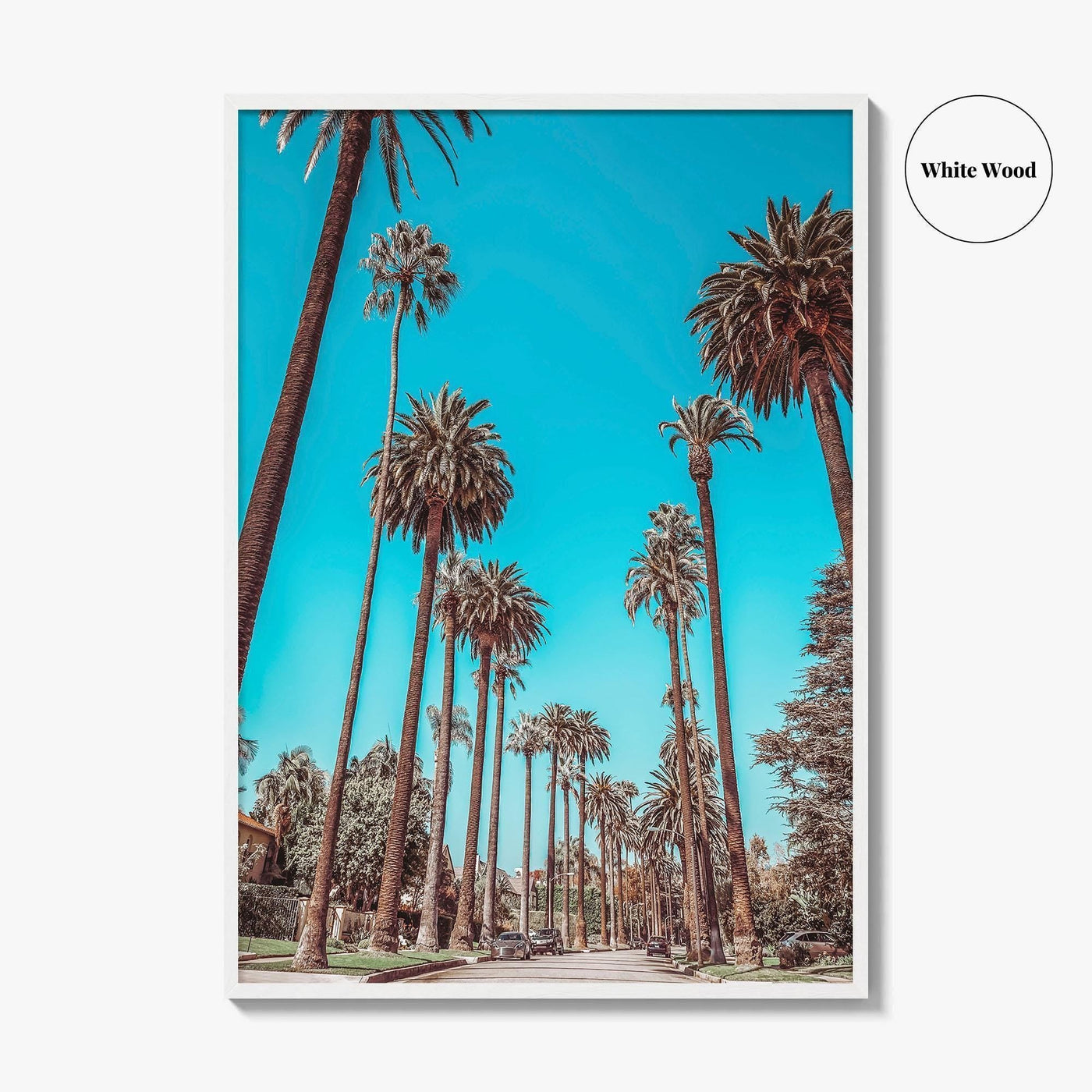 Beverly Hills Fine Art Photo Print, Los Angeles, California, Palm Trees, Photo Poster