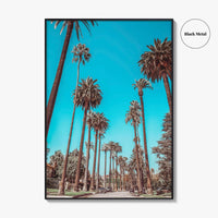 Beverly Hills Fine Art Photo Print, Los Angeles, California, Palm Trees, Photo Poster