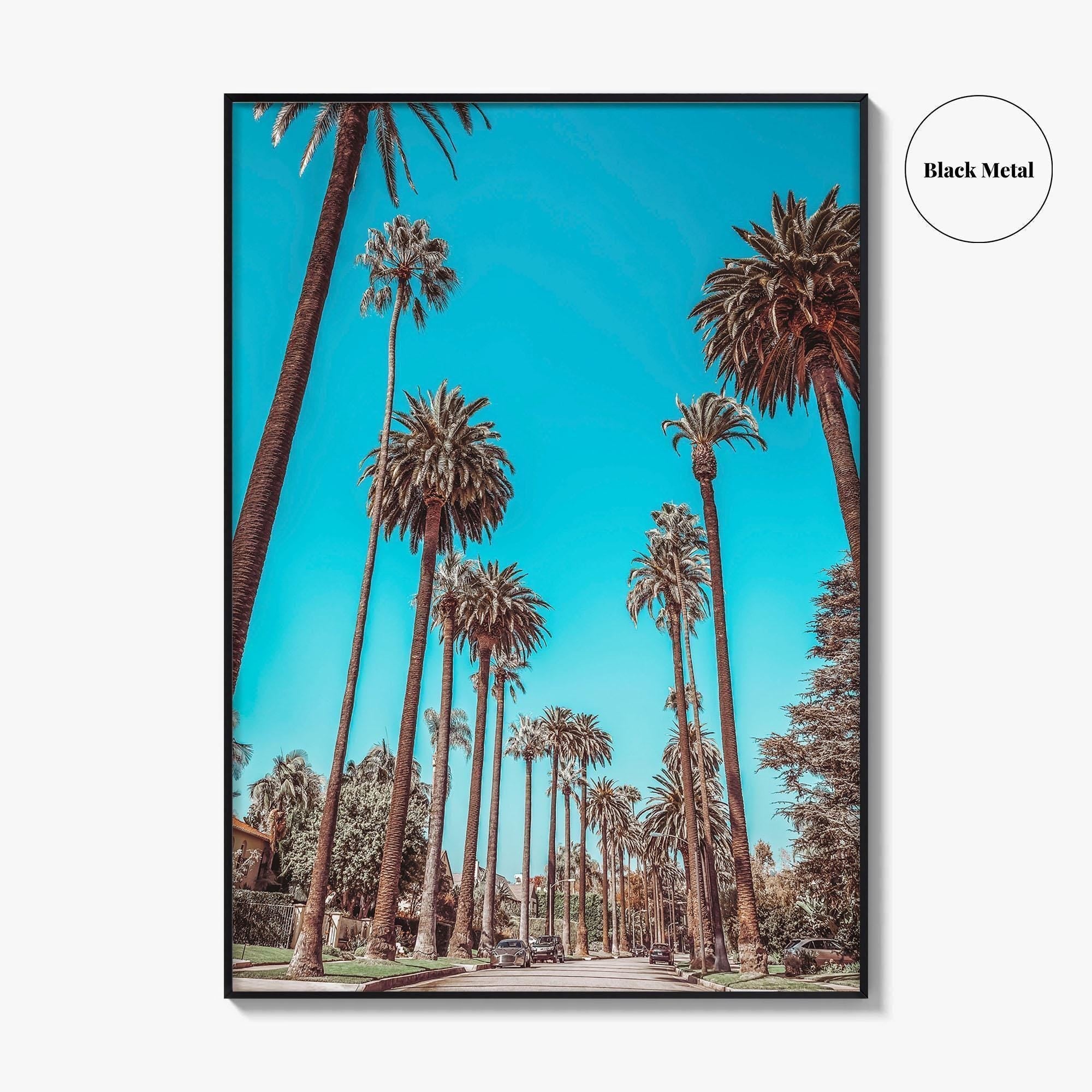 Beverly Hills Fine Art Photo Print, Los Angeles, California, Palm Trees, Photo Poster