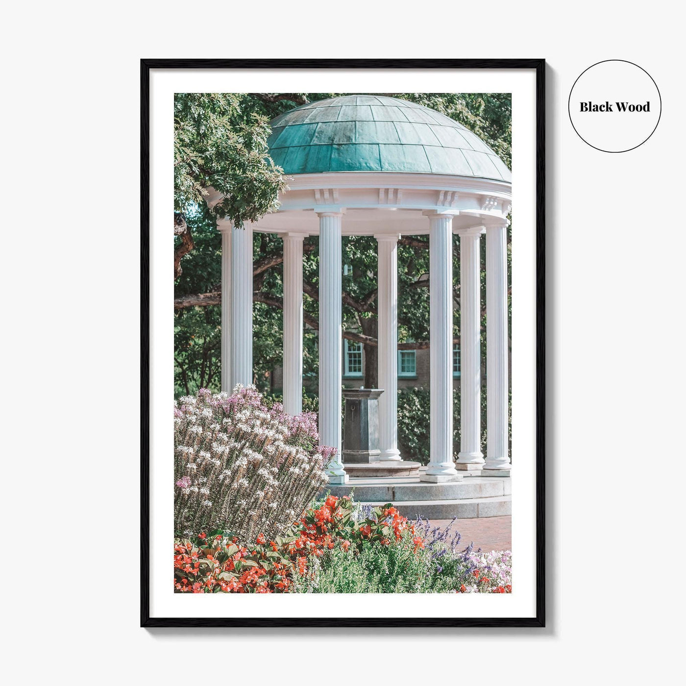 Chapel Hill Fine Art Photo Print, Old Well, UNC, North Carolina Wall Poster
