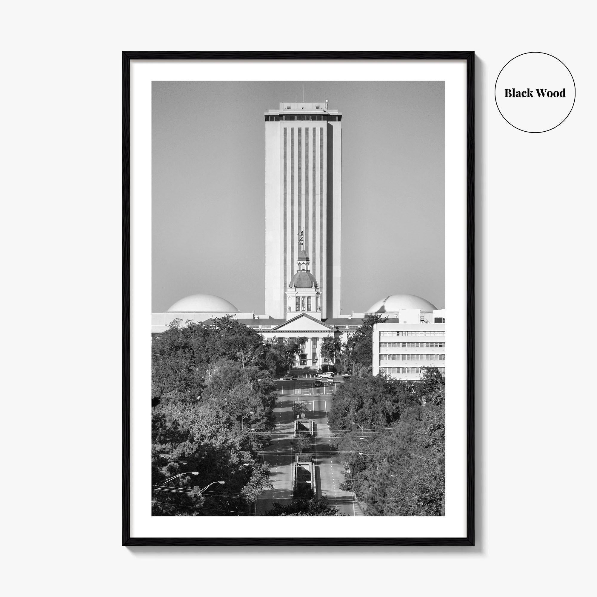 Tallahassee Black and White Fine Art Photo Print, Florida Capitol Buildings, Florida Poster