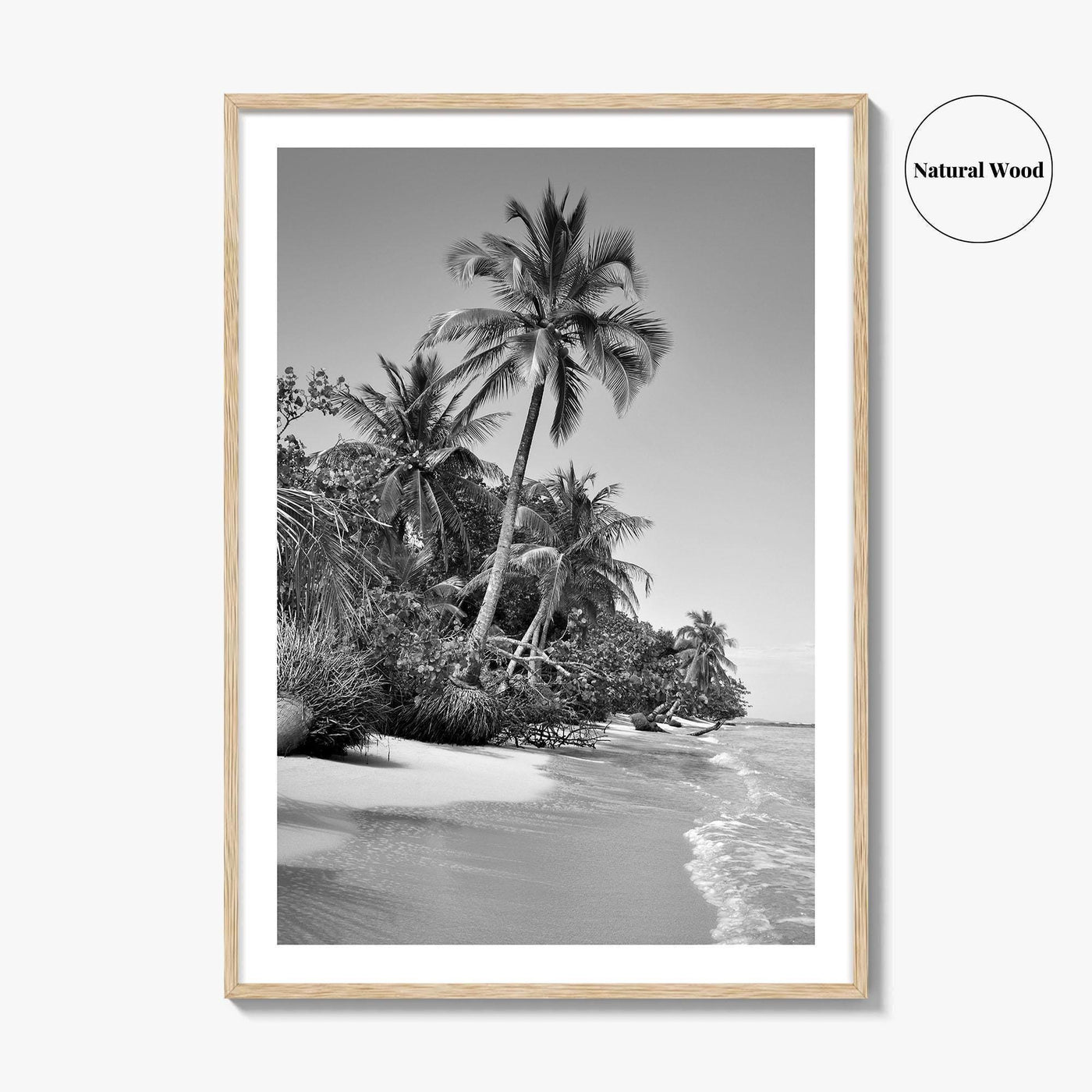 Panama Black and White Fine Art Photo Print, Central America Poster