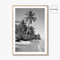 Panama Black and White Fine Art Photo Print, Central America Poster