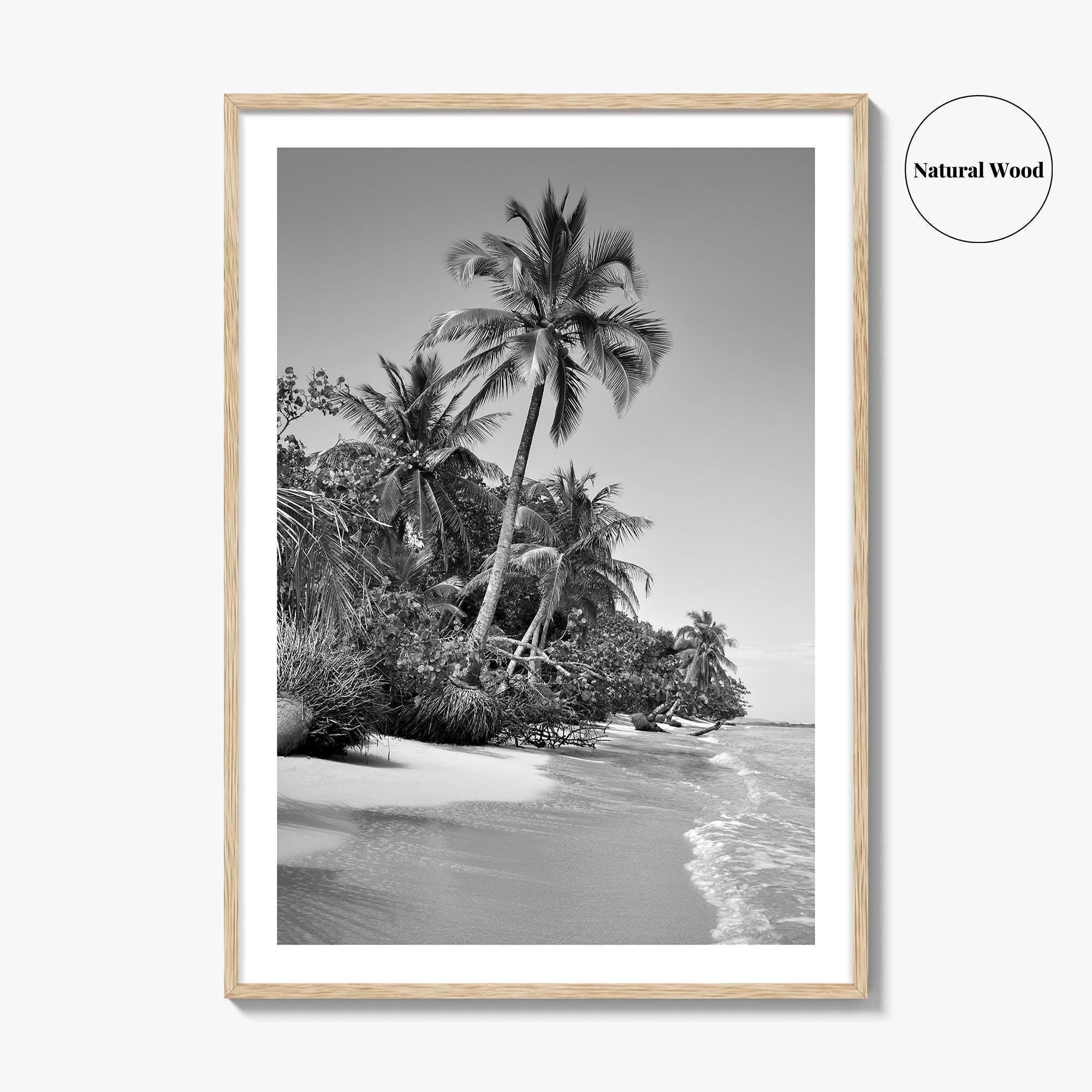 Panama Black and White Fine Art Photo Print, Central America Poster