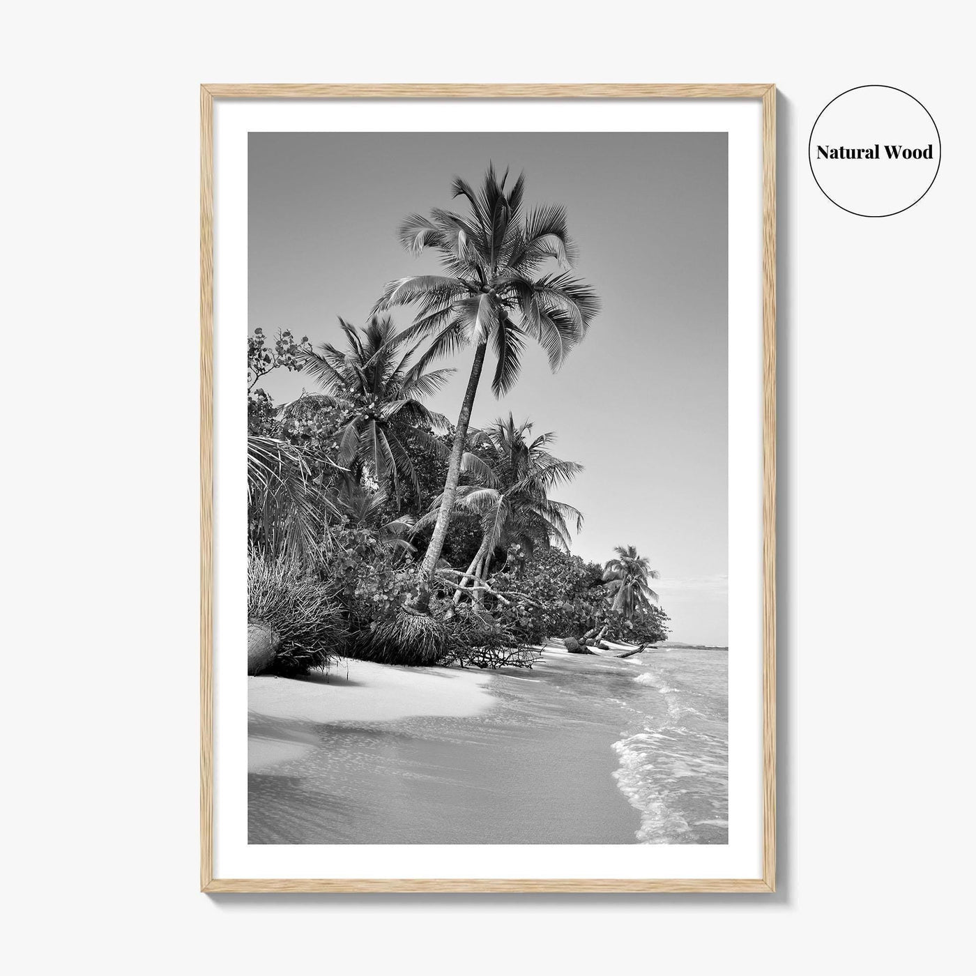 Panama Black and White Fine Art Photo Print, Central America Poster