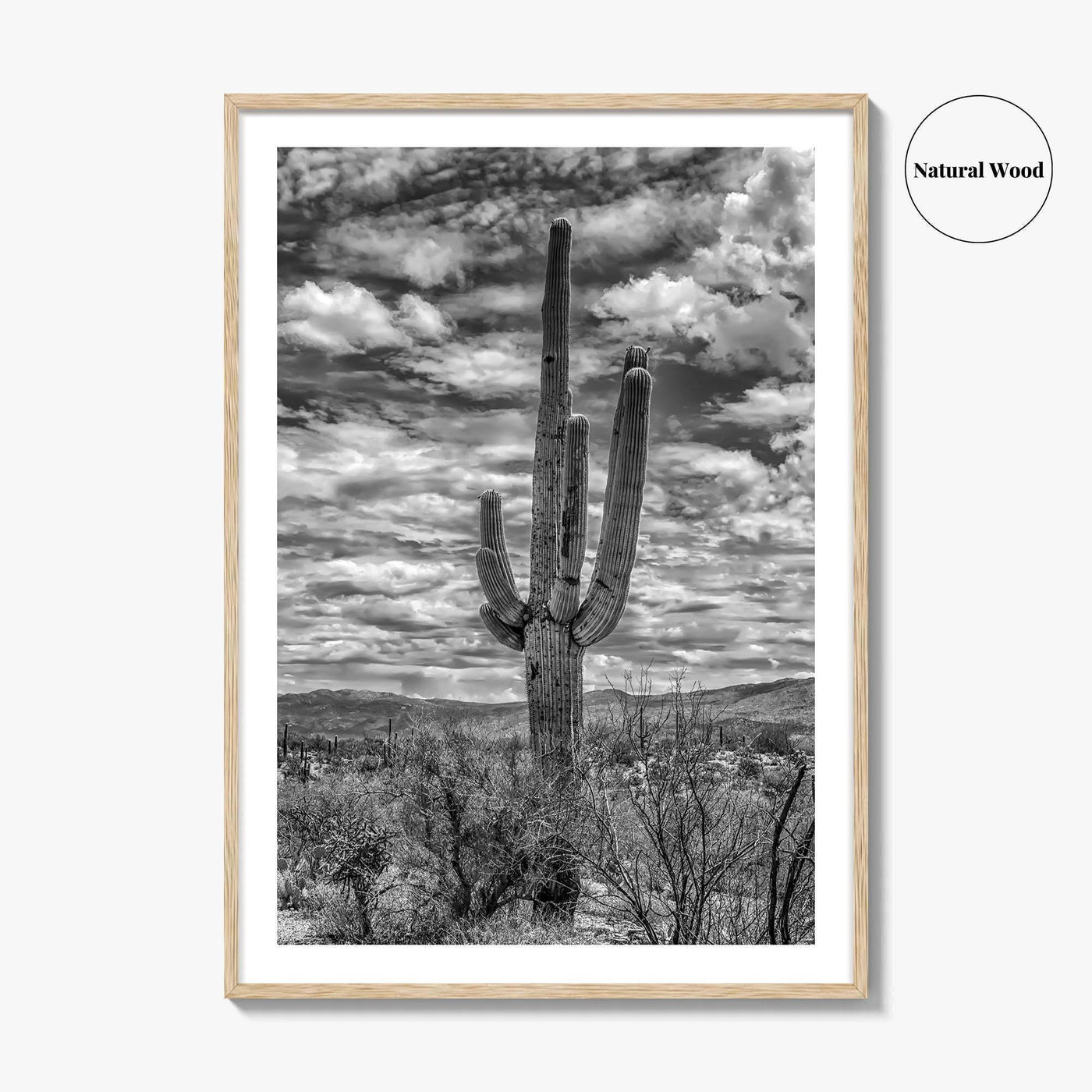 Saguaro National Park Black and White Fine Art Photo Print, Tucson Sonoran Desert Poster