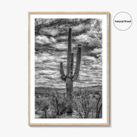 Saguaro National Park Black and White Fine Art Photo Print, Tucson Sonoran Desert Poster