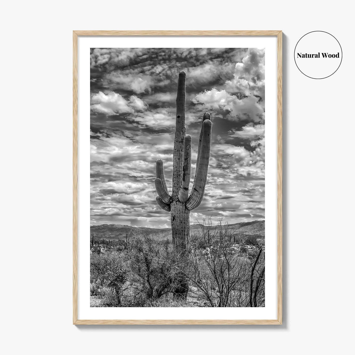 Saguaro National Park Black and White Fine Art Photo Print, Tucson Sonoran Desert Poster