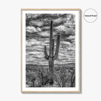 Saguaro National Park Black and White Fine Art Photo Print, Tucson Sonoran Desert Poster