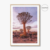 Namibia Fine Art Photo Print, Quiver Tree Forest, Keetmanshoop, Africa Wall Decor Poster