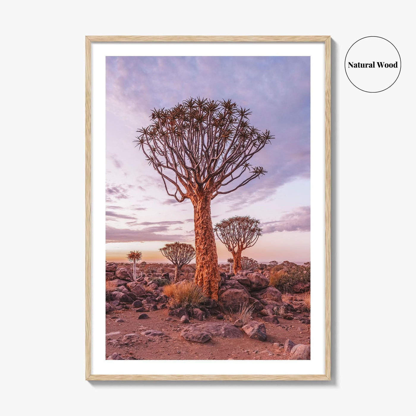 Namibia Fine Art Photo Print, Quiver Tree Forest, Keetmanshoop, Africa Wall Decor Poster