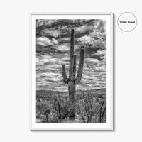 Saguaro National Park Black and White Fine Art Photo Print, Tucson Sonoran Desert Poster
