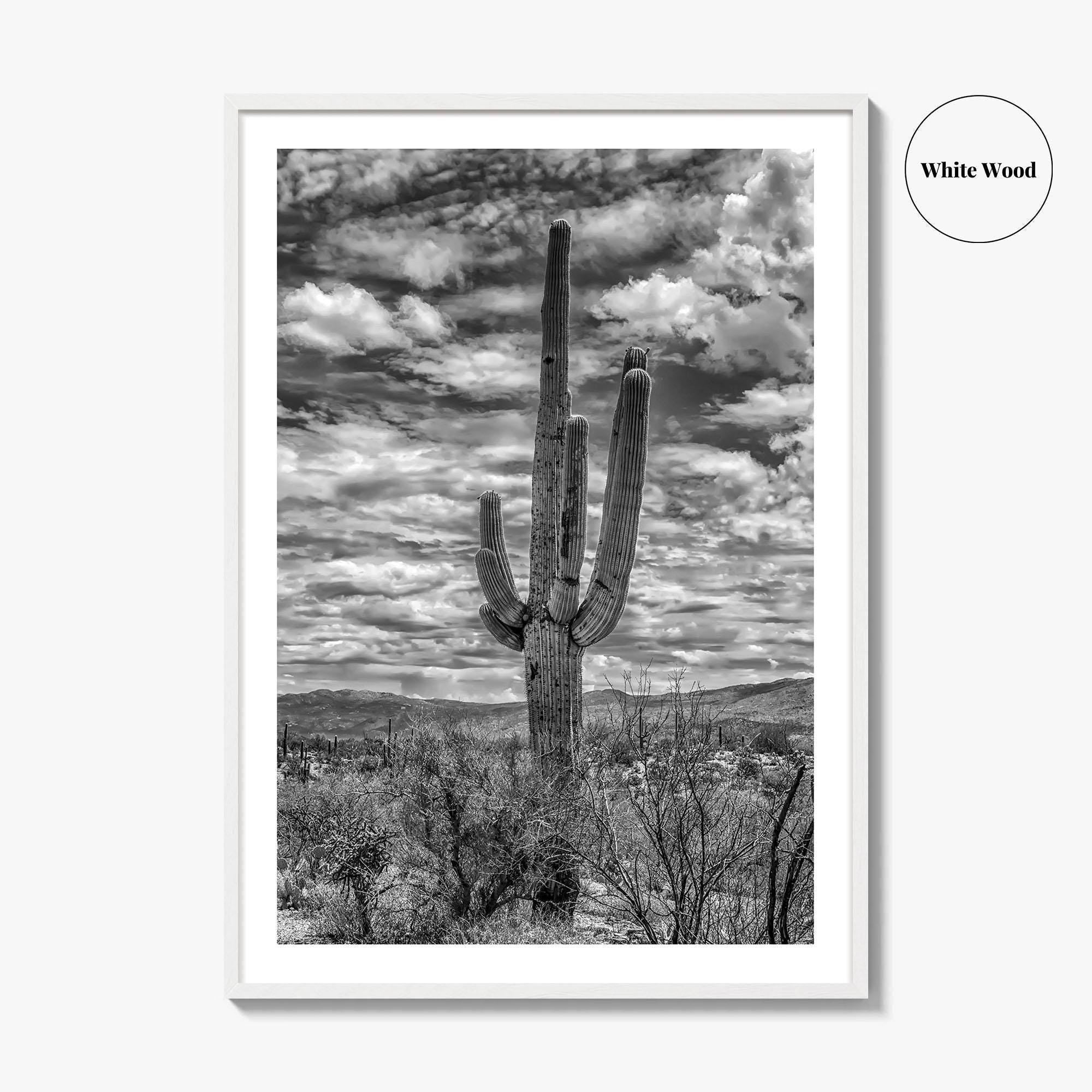 Saguaro National Park Black and White Fine Art Photo Print, Tucson Sonoran Desert Poster