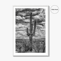 Saguaro National Park Black and White Fine Art Photo Print, Tucson Sonoran Desert Poster