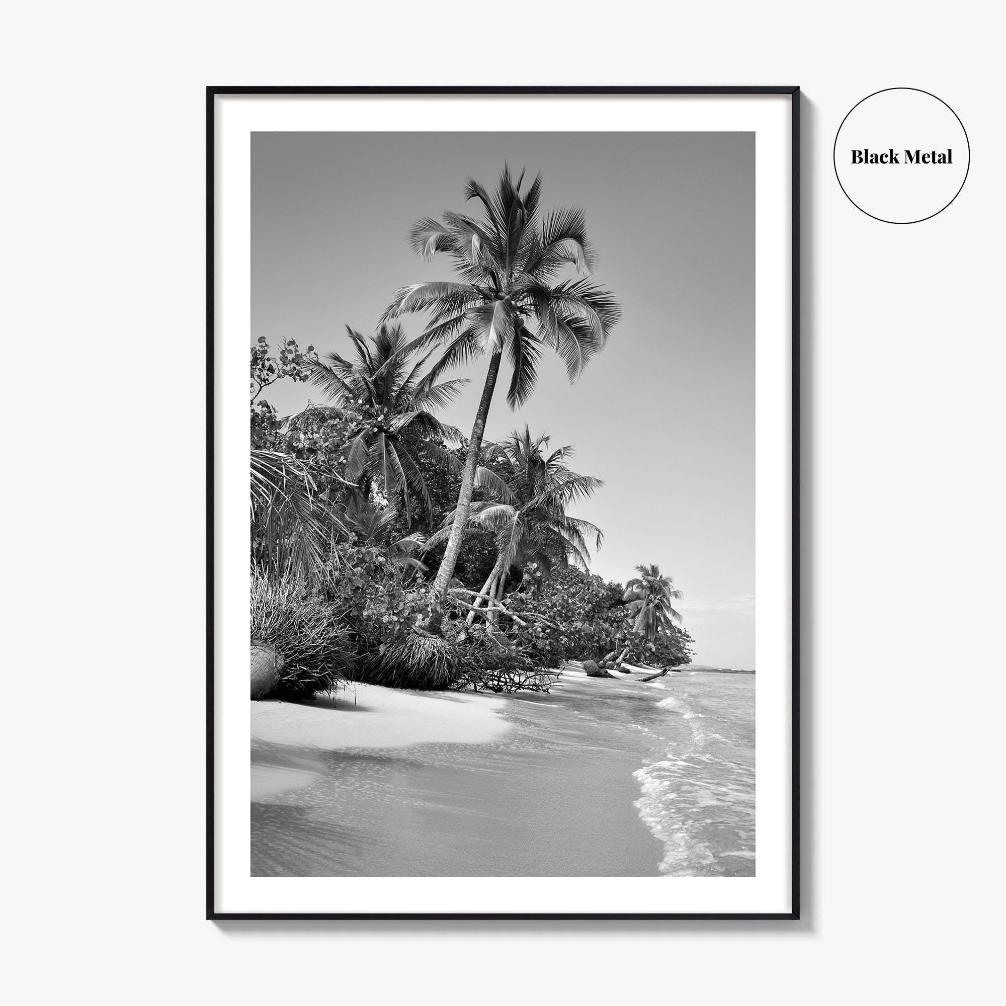 Panama Black and White Fine Art Photo Print, Central America Poster