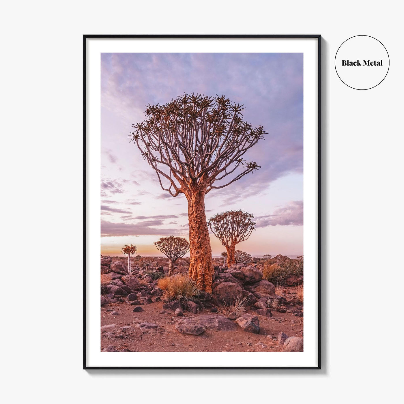 Namibia Fine Art Photo Print, Quiver Tree Forest, Keetmanshoop, Africa Wall Decor Poster