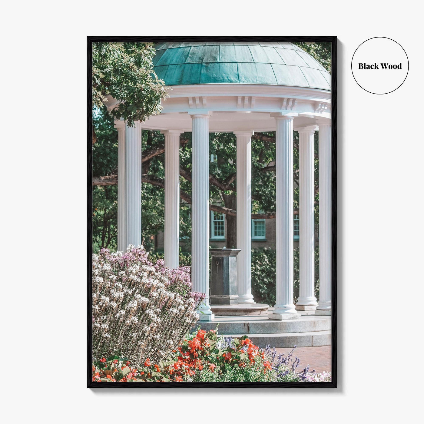 Chapel Hill Fine Art Photo Print, Old Well, UNC, North Carolina Wall Poster