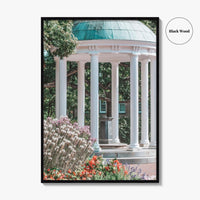 Chapel Hill Fine Art Photo Print, Old Well, UNC, North Carolina Wall Poster