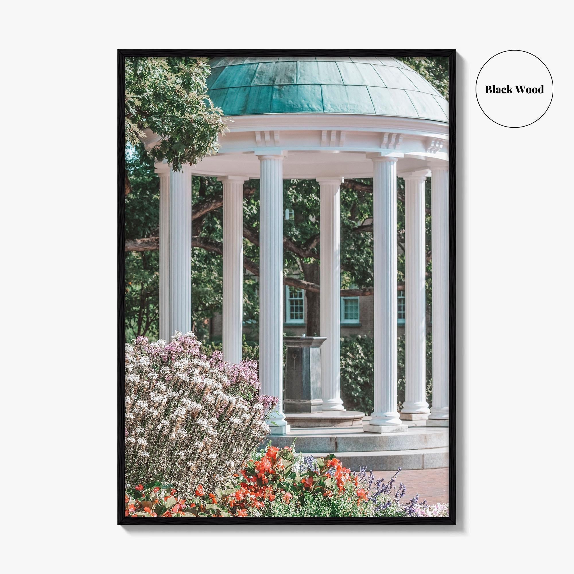 Chapel Hill Fine Art Photo Print, Old Well, UNC, North Carolina Wall Poster