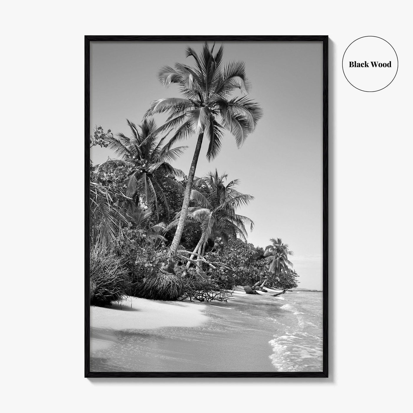 Panama Black and White Fine Art Photo Print, Central America Poster