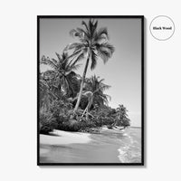 Panama Black and White Fine Art Photo Print, Central America Poster