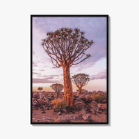 Namibia Fine Art Photo Print, Quiver Tree Forest, Keetmanshoop, Africa Wall Decor Poster
