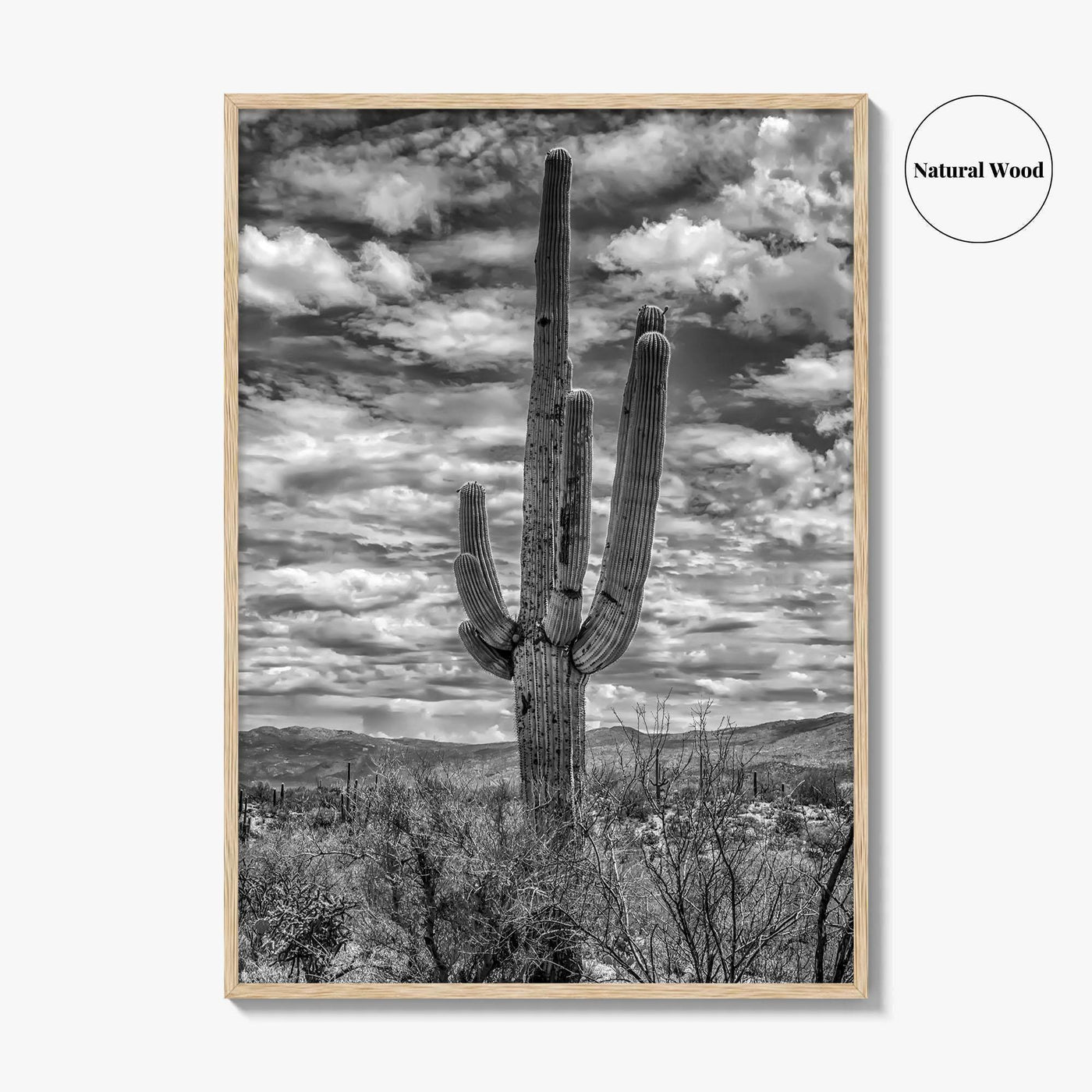 Saguaro National Park Black and White Fine Art Photo Print, Tucson Sonoran Desert Poster