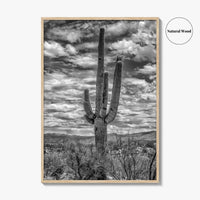 Saguaro National Park Black and White Fine Art Photo Print, Tucson Sonoran Desert Poster