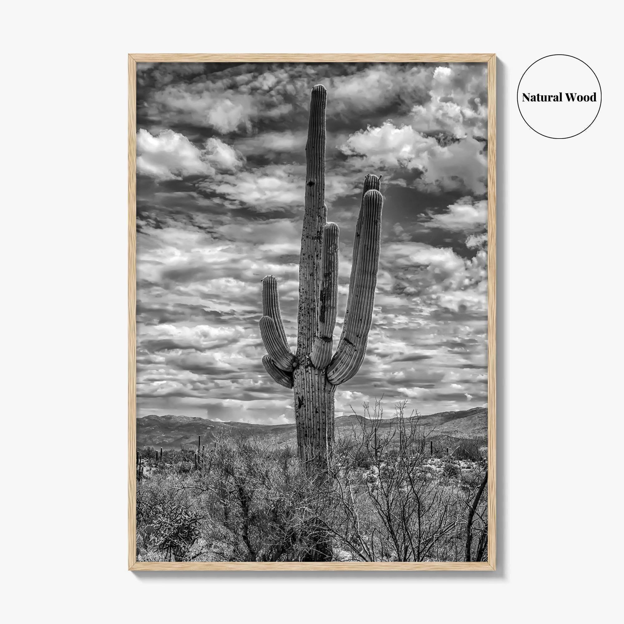 Saguaro National Park Black and White Fine Art Photo Print, Tucson Sonoran Desert Poster