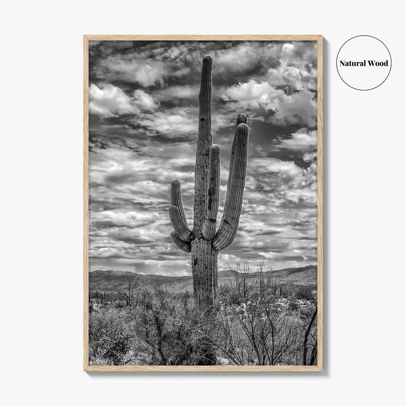 Saguaro National Park Black and White Fine Art Photo Print, Tucson Sonoran Desert Poster