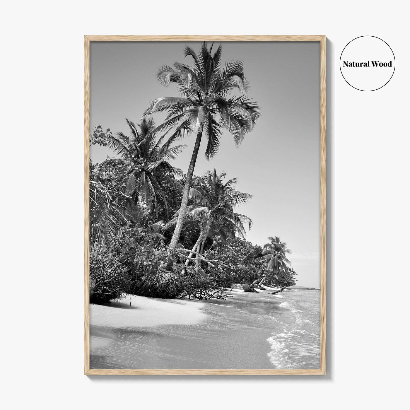 Panama Black and White Fine Art Photo Print, Central America Poster