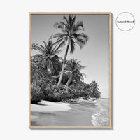 Panama Black and White Fine Art Photo Print, Central America Poster