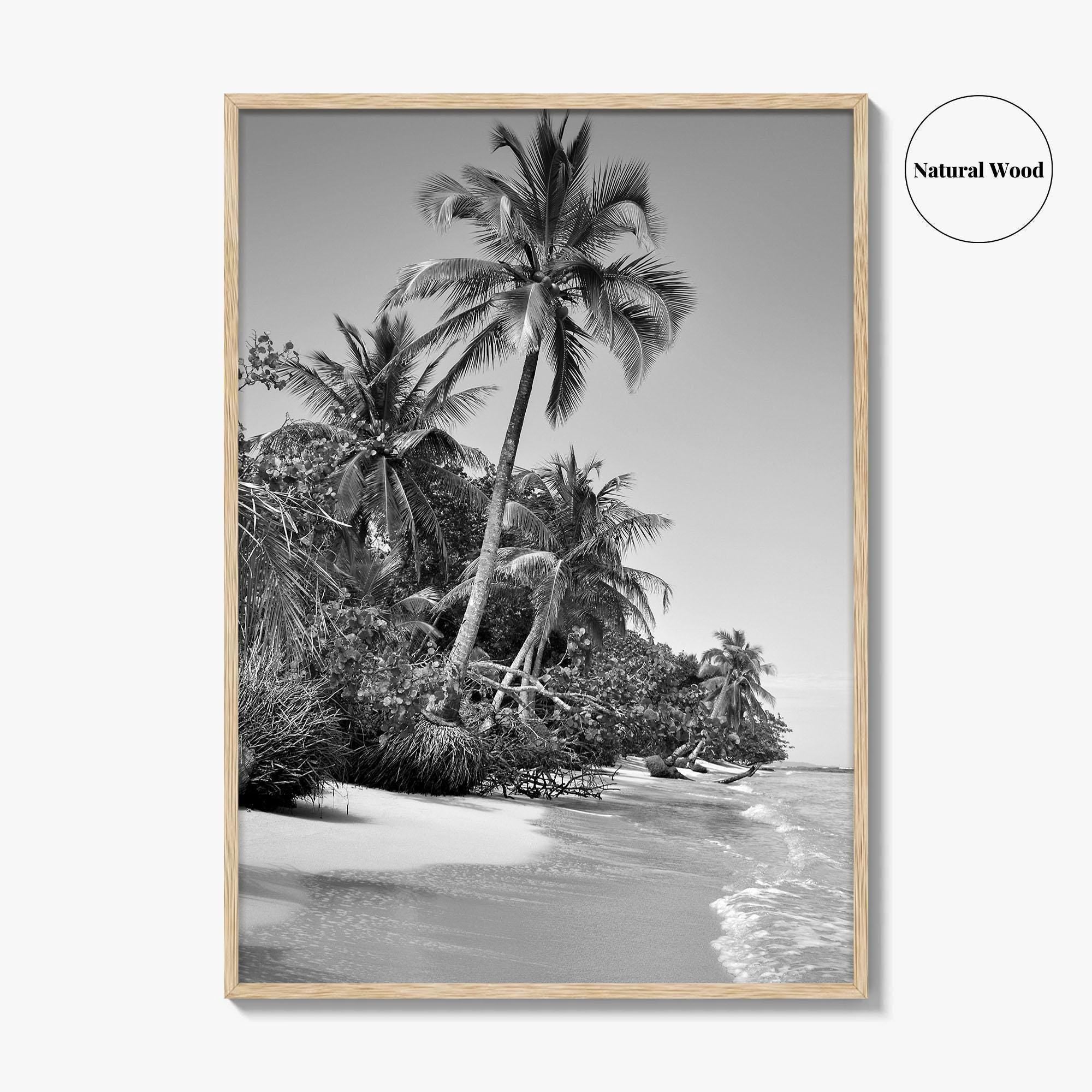 Panama Black and White Fine Art Photo Print, Central America Poster