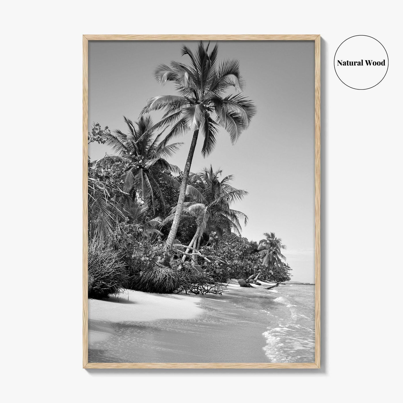 Panama Black and White Fine Art Photo Print, Central America Poster