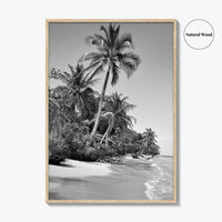 Panama Black and White Fine Art Photo Print, Central America Poster
