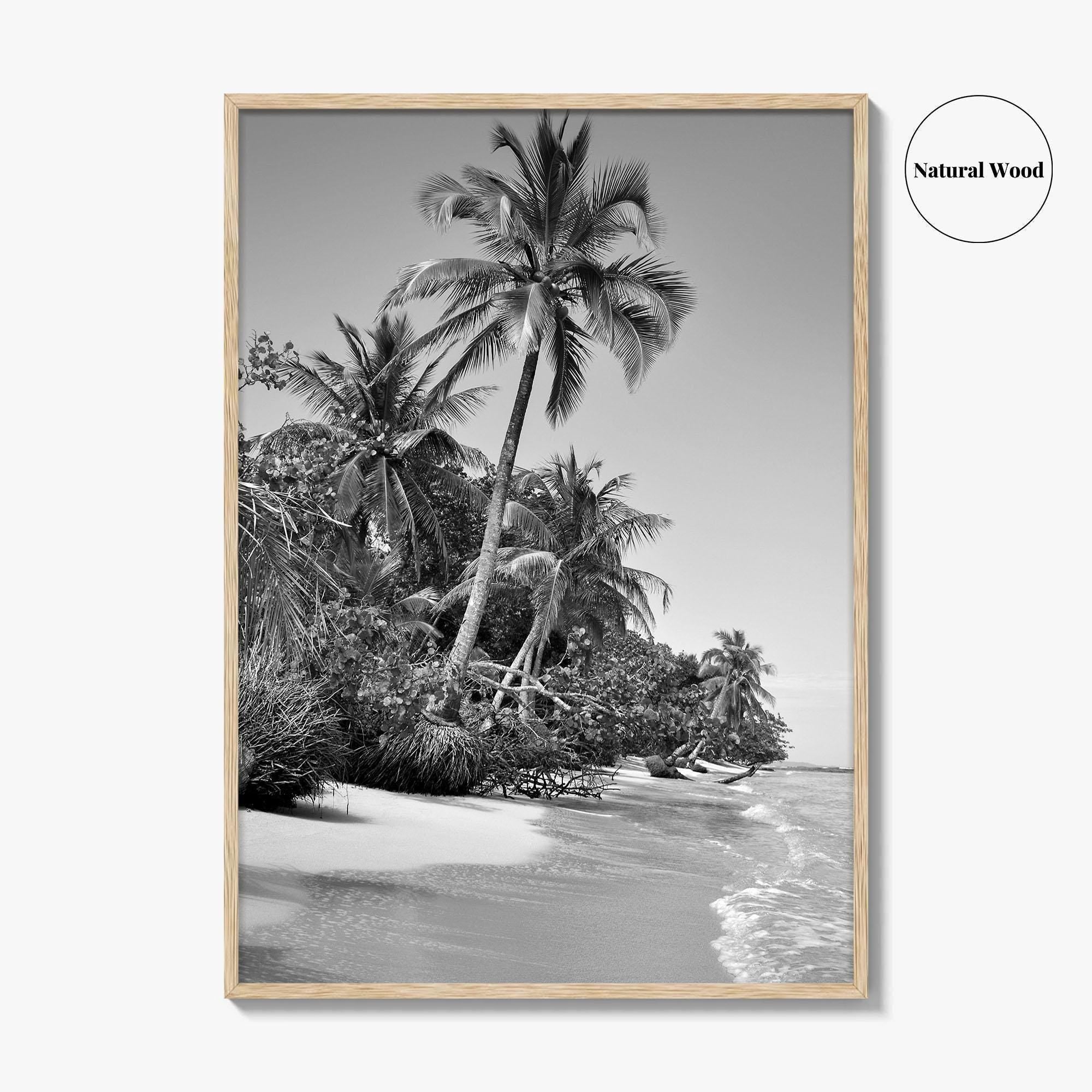 Panama Black and White Fine Art Photo Print, Central America Poster