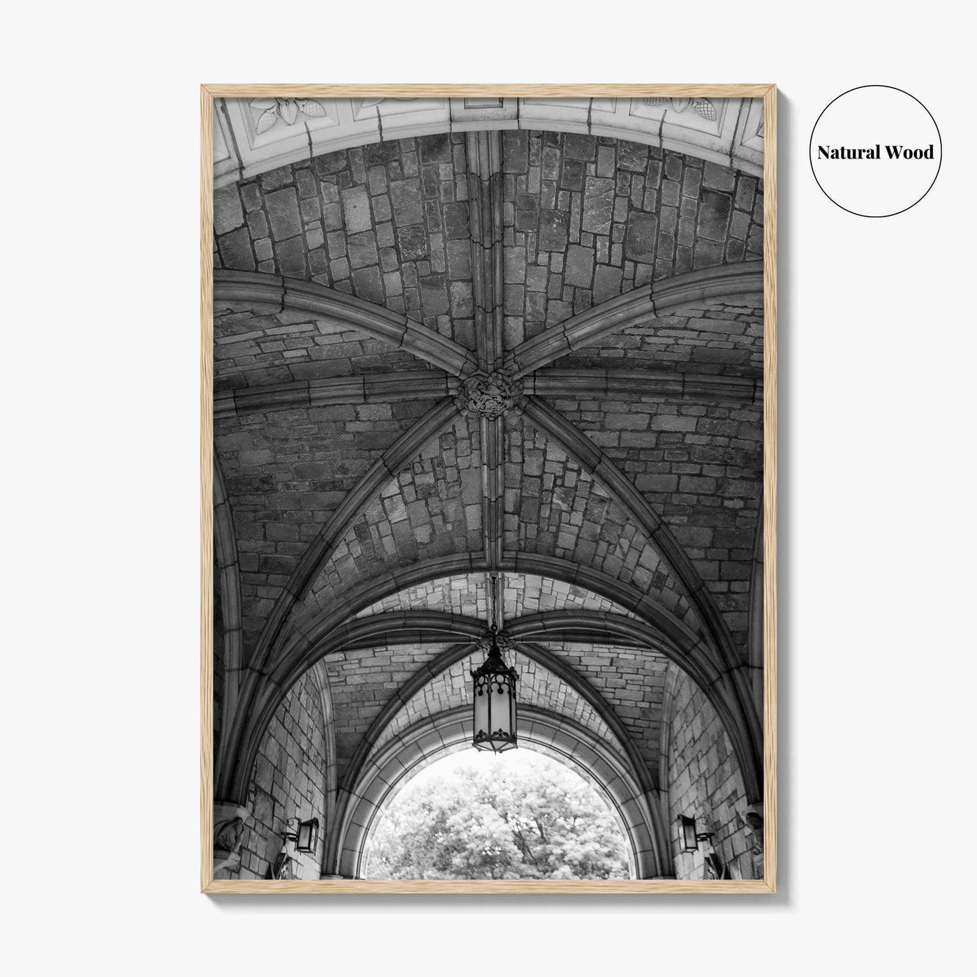 Ann Arbor Black and White Fine Art Photo Print, Law Quad, University Of Michigan