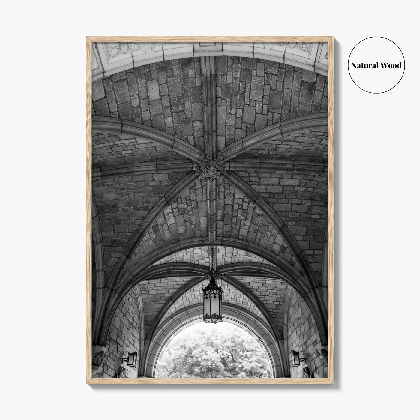 Ann Arbor Black and White Fine Art Photo Print, Law Quad, University Of Michigan