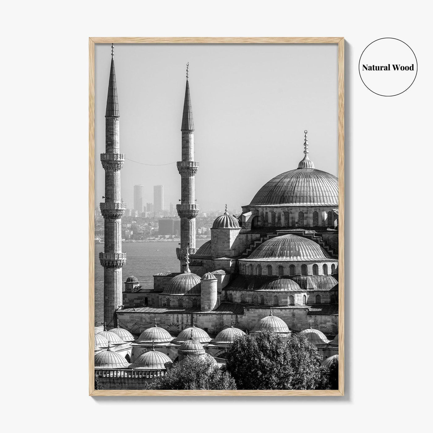 Istanbul Skyline Black and White Fine Art Photo Print, Blue Mosque, Bosphorus, Turkey Poster