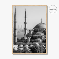 Istanbul Skyline Black and White Fine Art Photo Print, Blue Mosque, Bosphorus, Turkey Poster