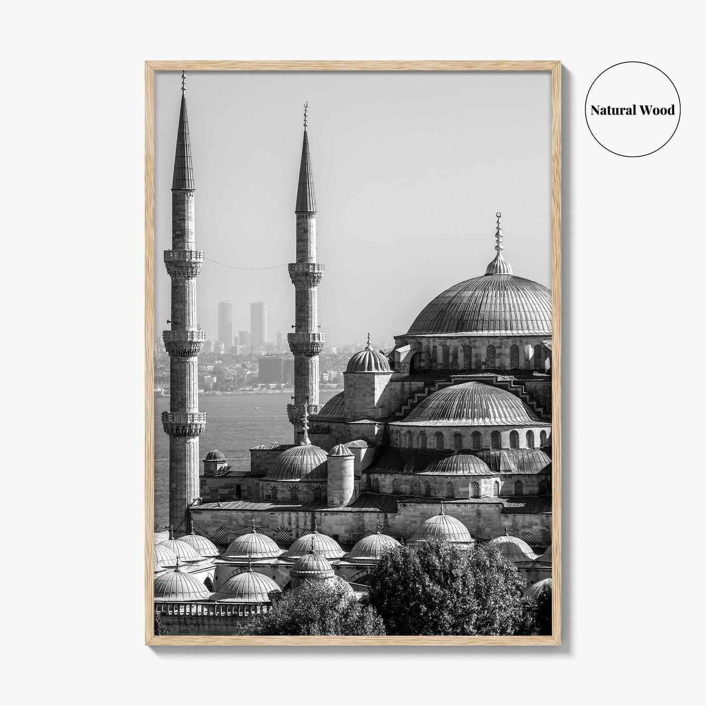 Istanbul Skyline Black and White Fine Art Photo Print, Blue Mosque, Bosphorus, Turkey Poster