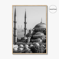 Istanbul Skyline Black and White Fine Art Photo Print, Blue Mosque, Bosphorus, Turkey Poster